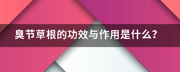 臭节草根的功效与作用是什么？