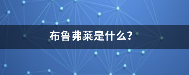 布鲁弗莱是什么？