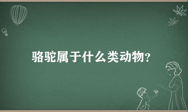 骆驼属于什么类动物？