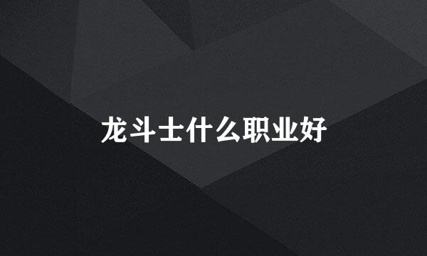 龙斗士什么职业好