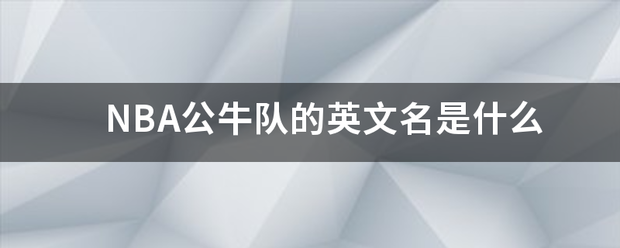 NBA公牛队的英文名是什么