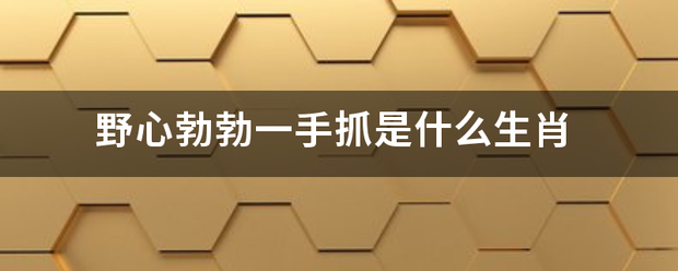 野心勃勃一手抓是什么生肖