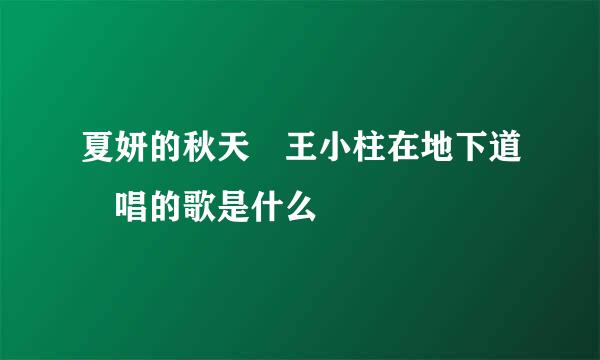 夏妍的秋天 王小柱在地下道 唱的歌是什么