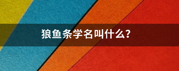 狼鱼条学名叫什么？