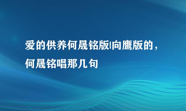 爱的供养何晟铭版|向鹰版的，何晟铭唱那几句