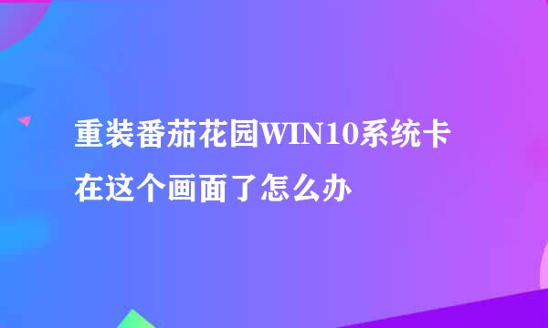 重装番茄花园WIN10系统卡在这个画面了怎么办