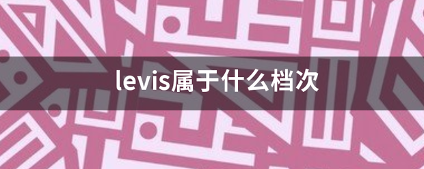 levis属于什么档次