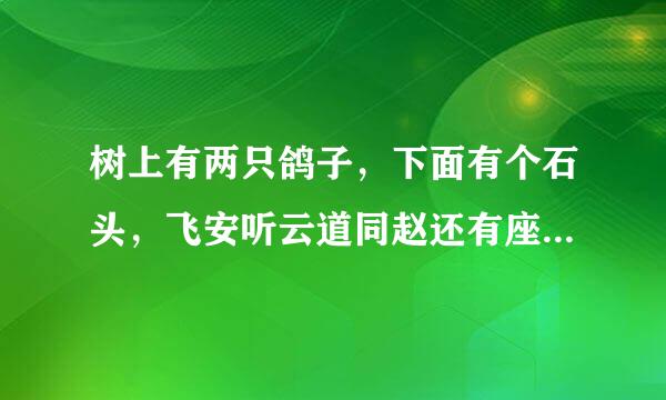 树上有两只鸽子，下面有个石头，飞安听云道同赵还有座房子，但是没人住，