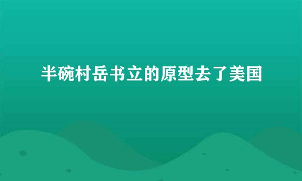 半碗村岳书立的原型去了美国