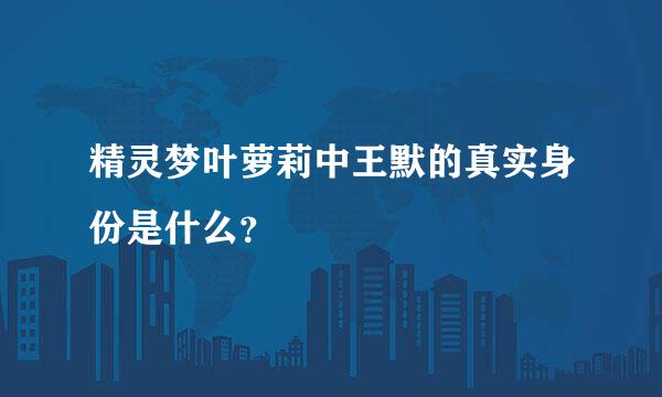 精灵梦叶萝莉中王默的真实身份是什么？