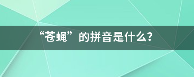 “苍蝇”的拼音是什么？