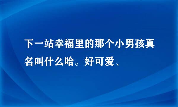 下一站幸福里的那个小男孩真名叫什么哈。好可爱、