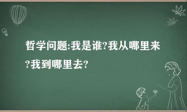 哲学问题:我是谁?我从哪里来?我到哪里去?