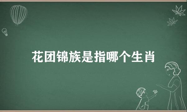 花团锦族是指哪个生肖