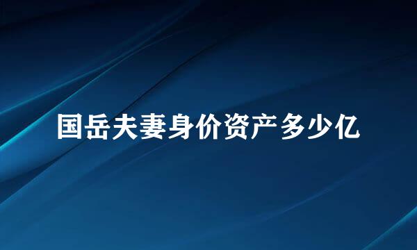 国岳夫妻身价资产多少亿