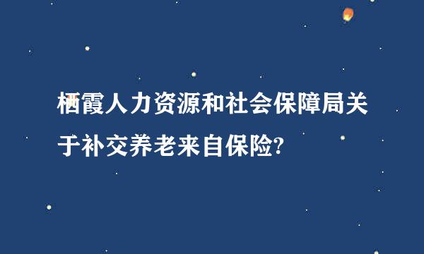 栖霞人力资源和社会保障局关于补交养老来自保险?