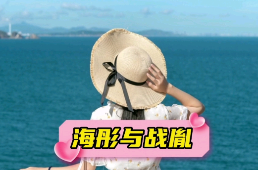 海彤战胤小说大结局