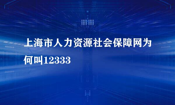 上海市人力资源社会保障网为何叫12333