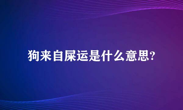 狗来自屎运是什么意思?