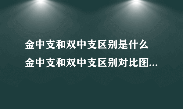 金中支和双中支区别是什么 金中支和双中支区别对比图（多图）