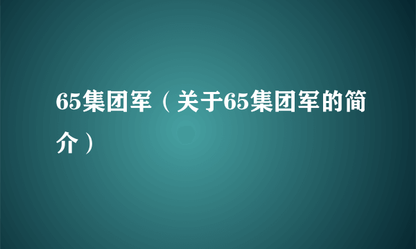 65集团军（关于65集团军的简介）