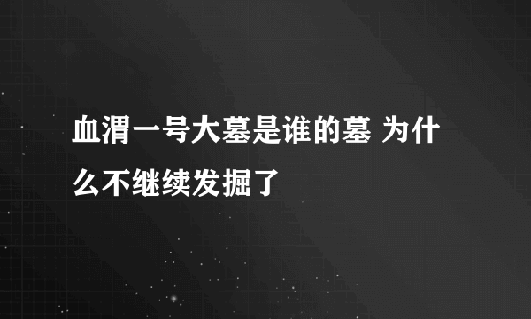 血渭一号大墓是谁的墓 为什么不继续发掘了