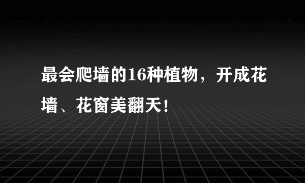 最会爬墙的16种植物，开成花墙、花窗美翻天！