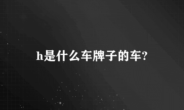 h是什么车牌子的车?