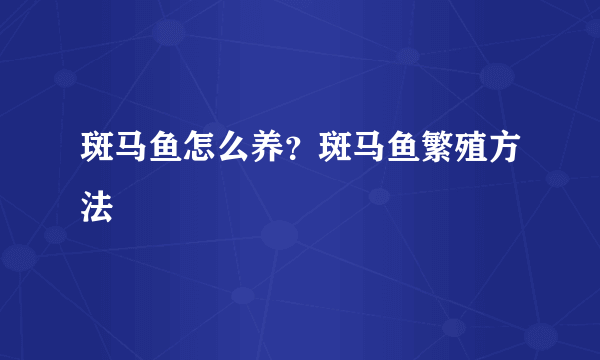 斑马鱼怎么养？斑马鱼繁殖方法