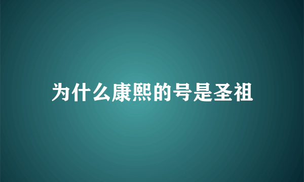 为什么康熙的号是圣祖