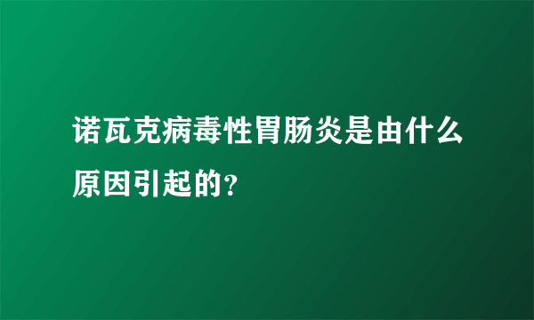 诺瓦克病毒性胃肠炎是由什么原因引起的？