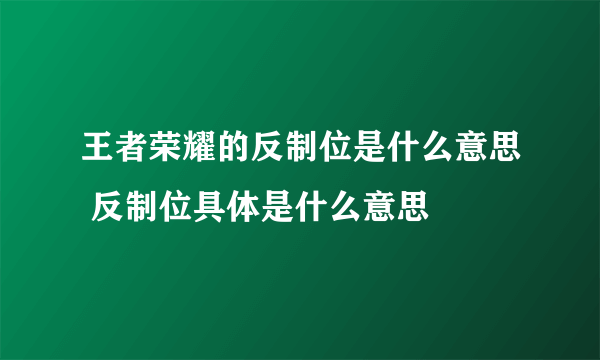 王者荣耀的反制位是什么意思 反制位具体是什么意思