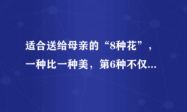 适合送给母亲的“8种花”，一种比一种美，第6种不仅便宜还能食用