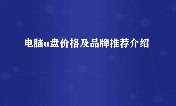 电脑u盘价格及品牌推荐介绍