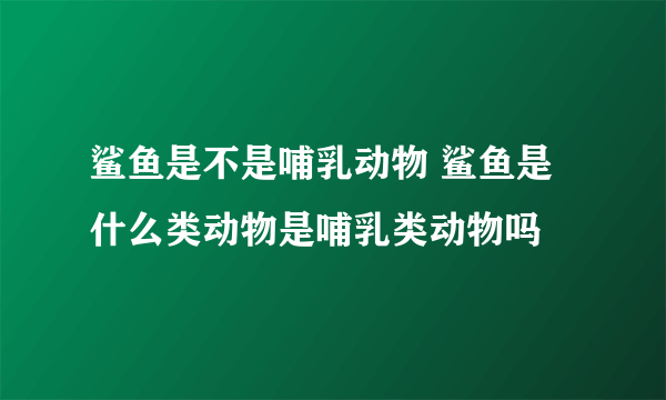 鲨鱼是不是哺乳动物 鲨鱼是什么类动物是哺乳类动物吗