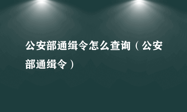 公安部通缉令怎么查询（公安部通缉令）