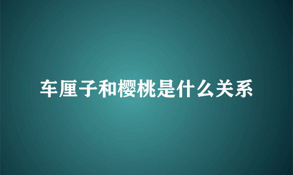 车厘子和樱桃是什么关系