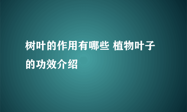 树叶的作用有哪些 植物叶子的功效介绍