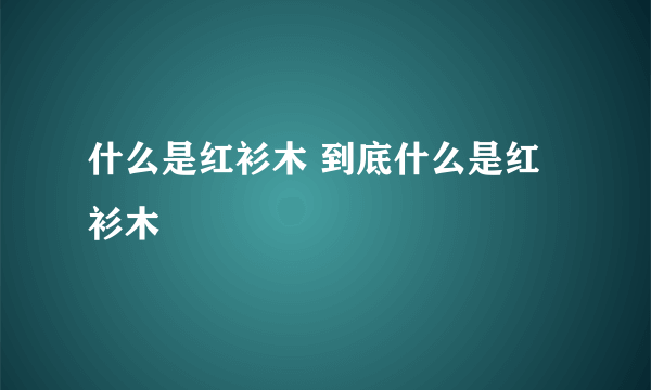 什么是红衫木 到底什么是红衫木