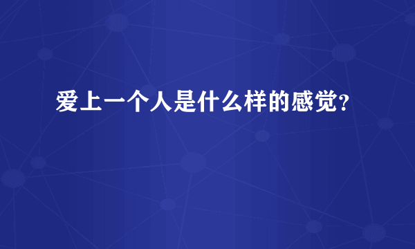 爱上一个人是什么样的感觉？