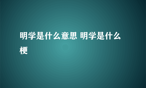 明学是什么意思 明学是什么梗