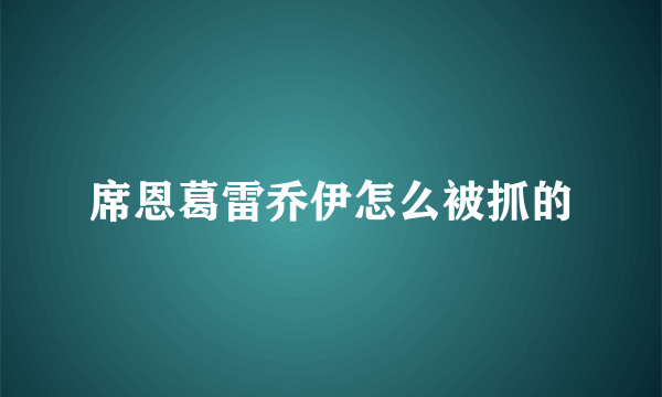 席恩葛雷乔伊怎么被抓的