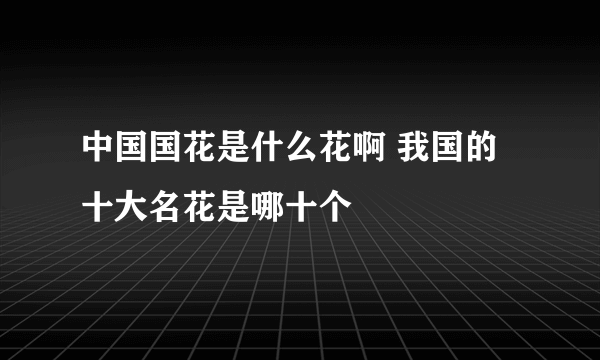 中国国花是什么花啊 我国的十大名花是哪十个