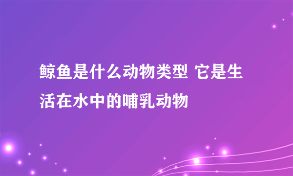 鲸鱼是什么动物类型 它是生活在水中的哺乳动物