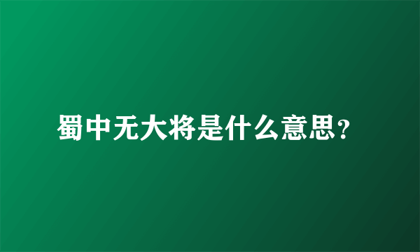 蜀中无大将是什么意思？