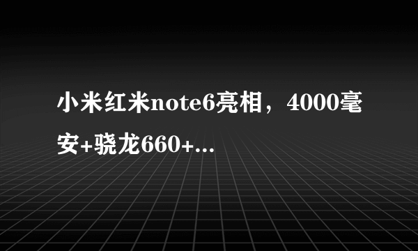 小米红米note6亮相，4000毫安+骁龙660+6.18英寸，学生党的首选！