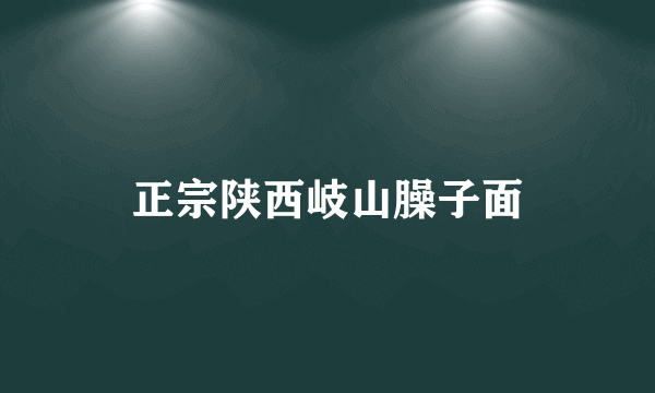 正宗陕西岐山臊子面