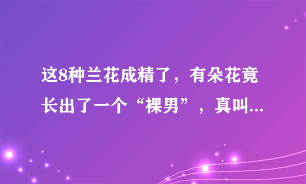 这8种兰花成精了，有朵花竟长出了一个“裸男”，真叫人脸红！