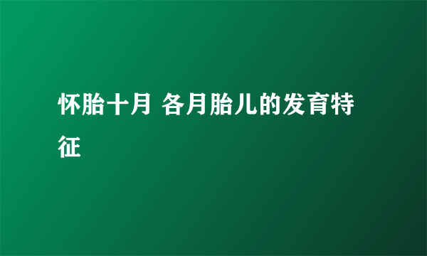 怀胎十月 各月胎儿的发育特征