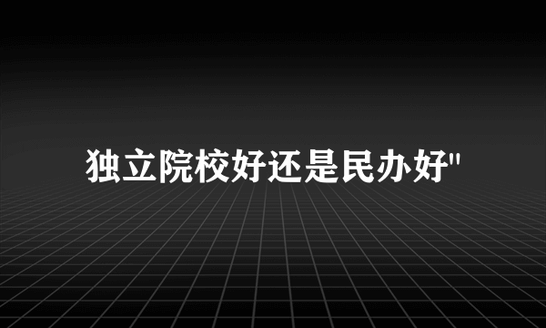 独立院校好还是民办好